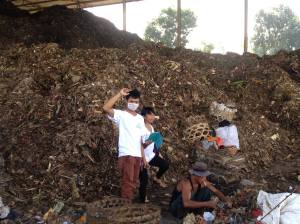 Sorting the garbage at Temesi